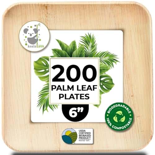 Palm Leaf Plate Bamboo Paper Disposable 6 Inch 200 Bulk Appetizer and Dessert Square Party Pack Eco Biodegradable Compostable Wooden Plate Better Than Plastic By KoalaLove