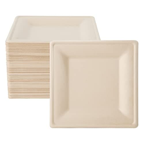 100% Compostable 10-Inch Square Plates for Eco-Friendly Entertaining 1