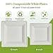 ECOLipak 120 Pack Compostable Paper Plates, 10 inch and 8 inch Heavy Duty Eco friendly Sugarcane Biodegradable Disposable Square Plates for Party Dinner Birthday 6