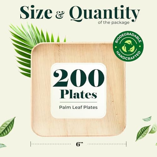 Palm Leaf Plate Bamboo Paper Disposable 6 Inch 200 Bulk Appetizer and Dessert Square Party Pack Eco Biodegradable Compostable Wooden Plate Better Than Plastic By KoalaLove 5