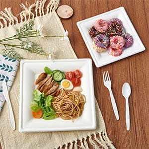 ECOLipak 120 Pack Compostable Paper Plates, 10 inch and 8 inch Heavy Duty Eco friendly Sugarcane Biodegradable Disposable Square Plates for Party Dinner Birthday 5