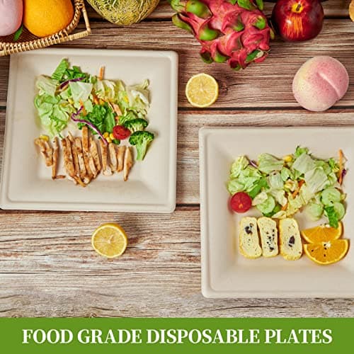 100% Compostable 10-Inch Square Plates for Eco-Friendly Entertaining 6