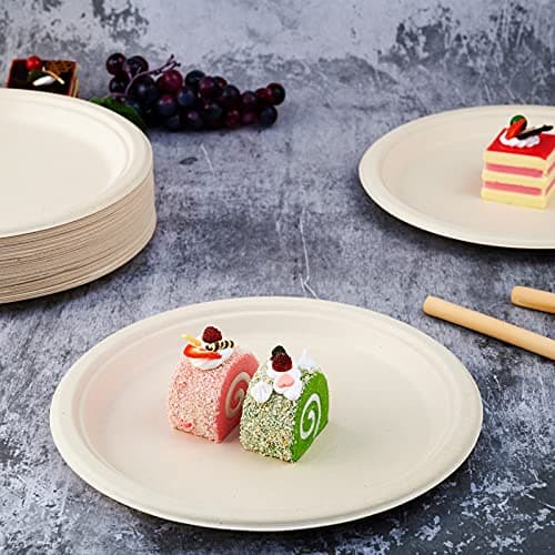 Vplus 150 Pack Compostable Disposable Paper Plates 10 inch Super Strong 100% Bagasse Natural Biodegradable Eco-Friendly Sugarcane Plates(nature) 2