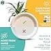 ECO SOUL Compostable Paper Plates 6 Inch (100 Count) Heavy Duty Disposable Dessert Plates, Eco-Friendly Sugarcane Bagasse Small Plates For Appetizer- Natural Brown 18