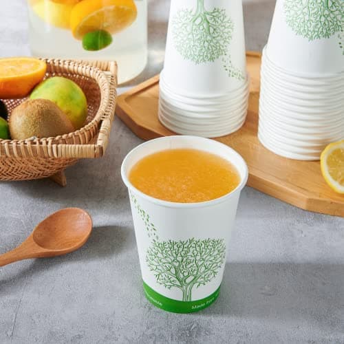 ECOLipak 240 Count 12 oz Compostable Paper Cups - Cups 6