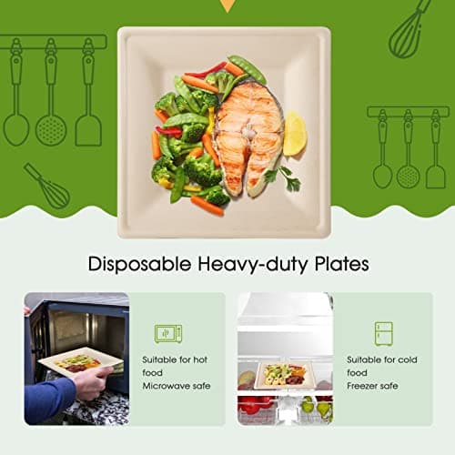 100% Compostable 10-Inch Square Plates for Eco-Friendly Entertaining 4