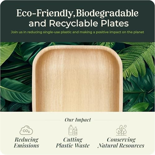 Palm Leaf Plates 10 Inch Bamboo Paper Disposable 50 Bulk Dinner Square Party Plates Event Tableware Eco Biodegradable Compostable Wooden Plate Best Alternative to Plastic Plate, By KoalaLove 7