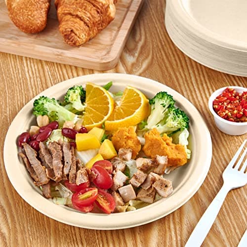 Vplus 500 Pack Paper Plates 9 inch 100% Compostable, Heavy-Duty Disposable Paper Plates Bagasse Natural Biodegradable Eco-Friendly Sugarcane(Nature) 2
