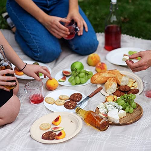 Vplus 500 Pack Paper Plates 9 inch 100% Compostable, Heavy-Duty Disposable Paper Plates Bagasse Natural Biodegradable Eco-Friendly Sugarcane(Nature) 7