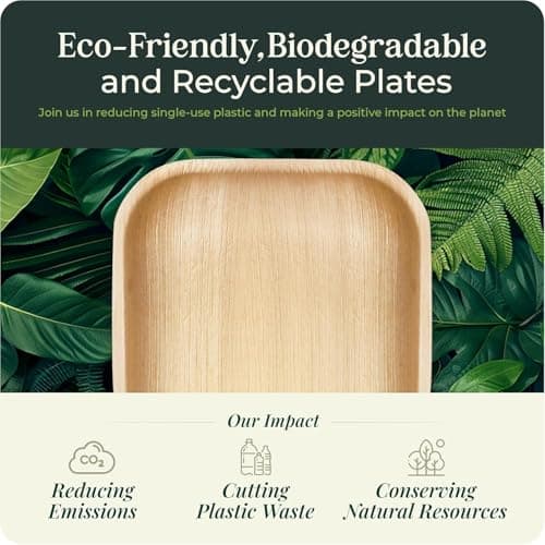 Palm Leaf Plate Bamboo Paper Disposable 6 Inch 200 Bulk Appetizer and Dessert Square Party Pack Eco Biodegradable Compostable Wooden Plate Better Than Plastic By KoalaLove 7