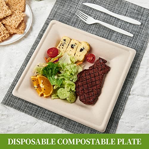 100% Compostable 10-Inch Square Plates for Eco-Friendly Entertaining 5