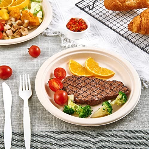 Vplus 500 Pack Paper Plates 9 inch 100% Compostable, Heavy-Duty Disposable Paper Plates Bagasse Natural Biodegradable Eco-Friendly Sugarcane(Nature) 5